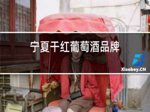 宁夏干红葡萄酒品牌