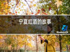 宁夏红酒的故事
