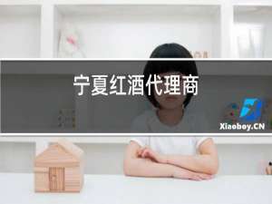 宁夏红酒代理商