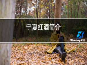 宁夏红酒简介