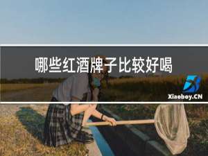 哪些红酒牌子比较好喝