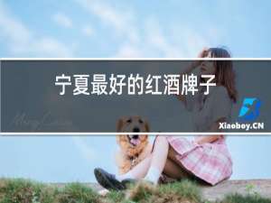 宁夏最好的红酒牌子