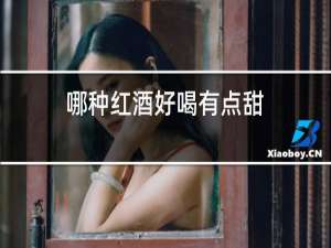 哪种红酒好喝有点甜