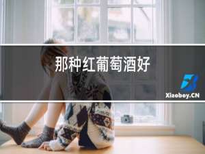 那种红葡萄酒好