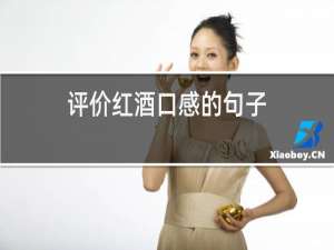 评价红酒口感的句子