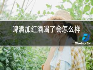 啤酒加红酒喝了会怎么样