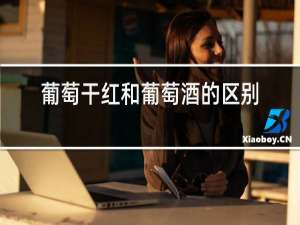 葡萄干红和葡萄酒的区别