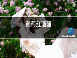 葡萄红酒醋