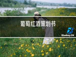 葡萄红酒策划书