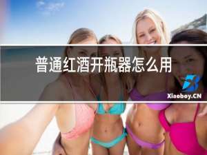 普通红酒开瓶器怎么用