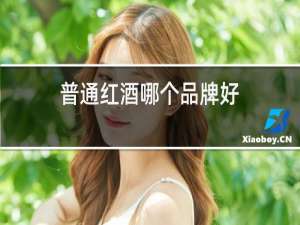 普通红酒哪个品牌好