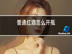 葡萄红酒怎么开瓶