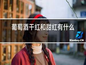 葡萄酒干红和甜红有什么区别