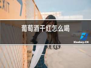 葡萄酒干红怎么喝
