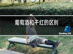 葡萄酒和干红的区别