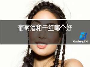 葡萄酒和干红哪个好
