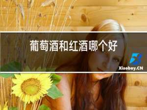 葡萄酒和红酒哪个好