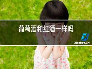 葡萄酒和红酒一样吗
