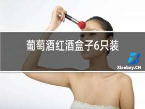 葡萄酒红酒盒子6只装