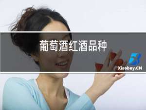 葡萄酒红酒品种