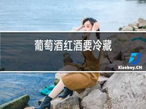葡萄酒红酒要冷藏