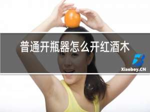 普通开瓶器怎么开红酒木塞图解