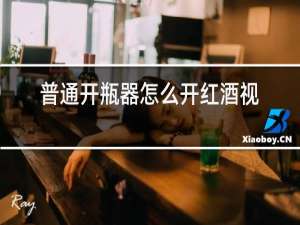 普通开瓶器怎么开红酒视频