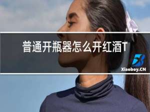 普通开瓶器怎么开红酒T型