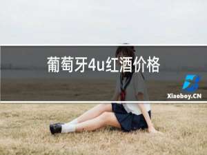 葡萄牙4u红酒价格