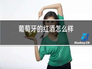 葡萄牙的红酒怎么样