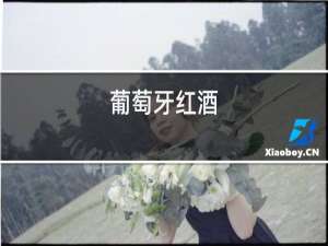 葡萄牙红酒