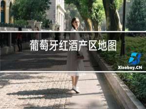 葡萄牙红酒产区地图