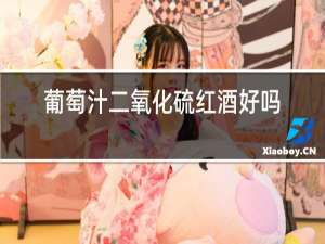 葡萄汁二氧化硫红酒好吗