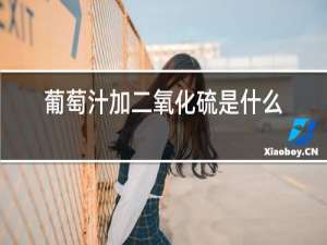 葡萄汁加二氧化硫是什么档次的红酒