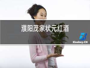濮阳茂家状元红酒
