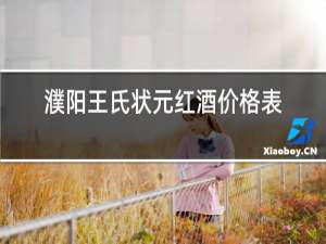 濮阳王氏状元红酒价格表