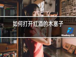 如何打开红酒的木塞子