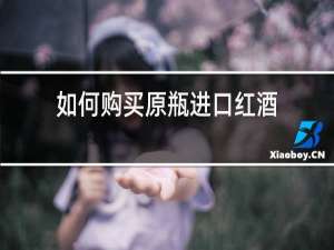 如何购买原瓶进口红酒