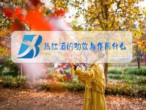 热红酒的功效与作用什么促进血液循环
