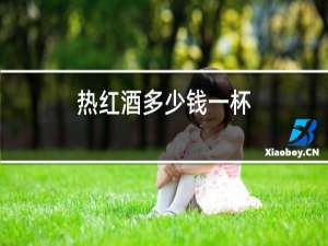 热红酒多少钱一杯