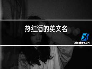 热红酒的英文名