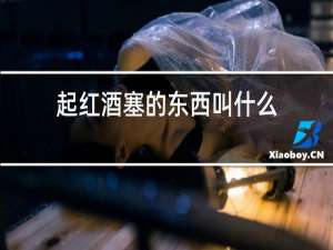 起红酒塞的东西叫什么
