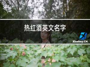 热红酒英文名字