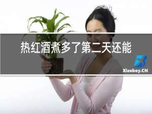 热红酒煮多了第二天还能喝吗
