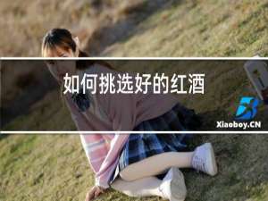 如何挑选好的红酒