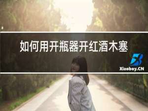如何用开瓶器开红酒木塞