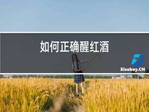 如何正确醒红酒