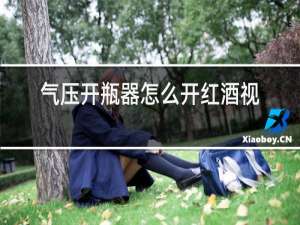 气压开瓶器怎么开红酒视频