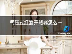 气压式红酒开瓶器怎么用