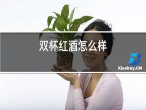 双杯红酒怎么样